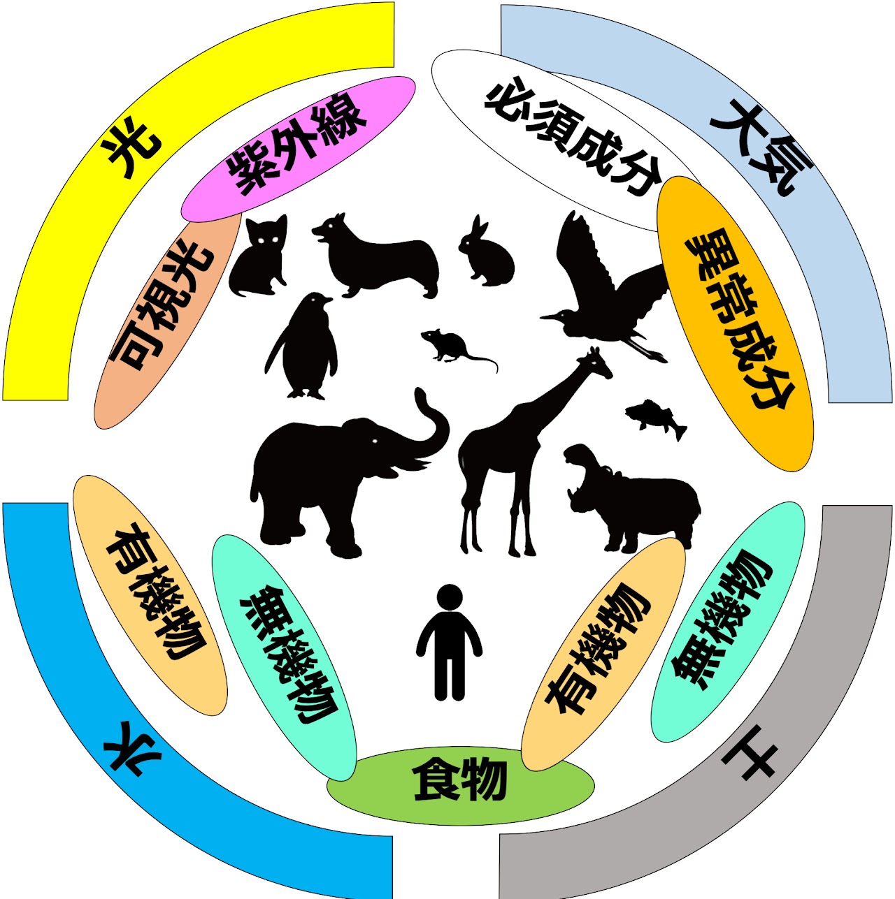 環境因子とがん